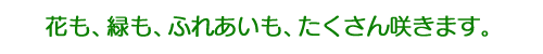 �Ԃ��A�΂��A�ӂꂠ�����A��������炫�܂��B